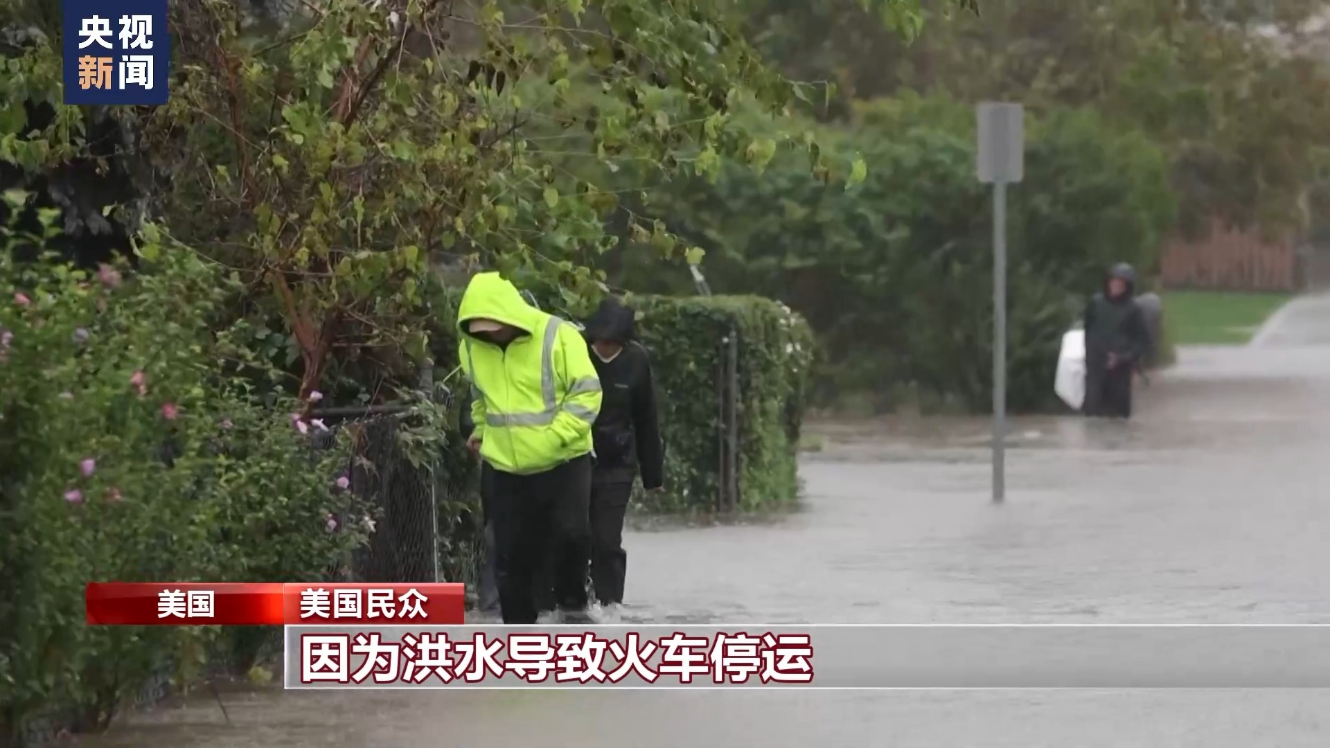 博壹论坛白菜大全